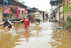 Potensi Hujan Lebat hingga 14 Maret, BMKG Ingatkan Bahaya Longsor-Banjir