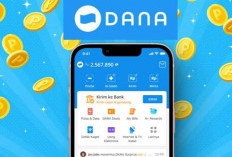 Pinjaman Saldo DANA Tanpa KTP? Ini Penjelasan Lengkapnya