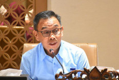 Alfrenzi Panggarbesi: Jangan Ada Lagi Toleransi, Angkutan Batubara Wajib Tunduk Aturan