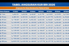 Tabel KUR BRI Mei 2026: Kredit Ringan Jadi Solusi Baru UMKM, Cicilan Mulai Ratusan Ribu