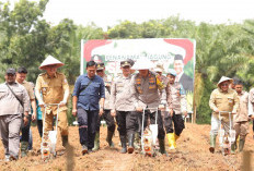 Banyuasin Kembali Hidupkan Lahan Tidur Lewat Program Penanaman Jagung, Mendukung Ketahanan Pangan Nasional