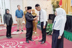 Ingatkan Kompetensi PPPK