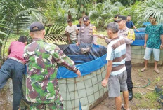 Panen Lele Hasil Budadaya Dalam Kolam Terpal Untuk Dikonsumsi,Kelebihan Dijual Warga Desa Batanghari Kecamatan