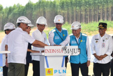 Seratus Persen Energi Hijau Untuk IKN Nusantara