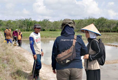 Berantas Tikus, Lakukan Gropyokan 