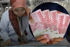 BSU 2025, Bantuan Upah Hadir Lagi, Tenaga Kerja dan Ekonomi Rakyat Kembali Bernapas