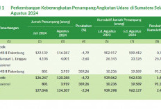 Penumpang Udara di Sumsel Turun, Apa Sebabnya?