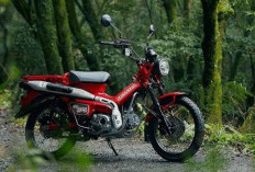 Honda CT125 2026: Motor Bebek Trail Hemat BBM dengan DNA Legendaris yang Siap Jelajah