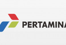 Pertamina Bakal Kelola Sumur Minyak Lama