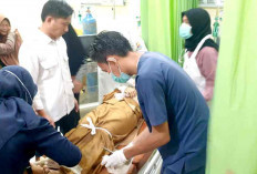  Kasihan, Motor Tabrak Kerbau yang Menyeberang Jalan, Nyawa Nakes di Muratara Melayang, Begini Kejadiannya 