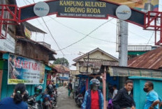 Kampung Kuliner Lorong Roda Kecamatan Bukit Kecil Palembang