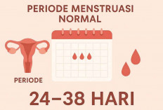 Menstruasi Teratur Tanda Kesuburan? Begini Cara Cek Normal atau Tidak 