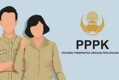 PPPK Tanpa Formasi Jadi Paruh Waktu, Seluruh Honorer Wajib Ikut Seleksi CASN 2024