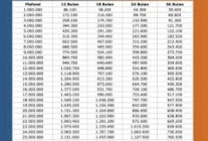 Pencairan Dana KUR BRI Juli 2025: Langkah Demi Langkah Menuju Dana Usaha