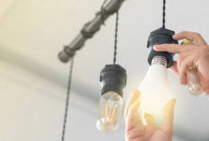 Keunggulan Lampu LED vs Lampu Pijar: Mana yang Lebih Baik untuk Rumah Anda? Simak Yuk!