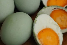 Ini Resep Mudah dan Murah untuk Bikin Telur Asin di Rumah, Yuk Cobain! 