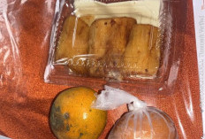 Hasil Pengawasan Ombudsman, MBG Minim Makanan Kemasan Sehat Buat Anak