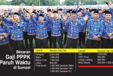 Tak Maksimal Gaji PPPK Paruh Waktu, Pemda Dilema Efisiensi Anggaran