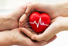Mengupas Rahasia Sehat Jantung: 5 Langkah Mudah yang Wajib Diterapkan, Ayo, Lakukan!