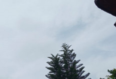 Prakiraan Cuaca Sumsel Kamis 14 Agustus 2025: Potensi Hujan Ringan Sepanjang Hari