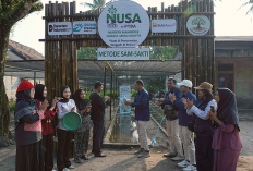 PTBA Resmikan NUSA di Pasir Sakti, Perkuat Rehabilitasi Mangrove Berbasis Masyarakat