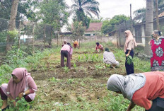  Desa Cipta Praja Geliatkan Ekonomi Desa, Bentuk Usaha Perempuan 