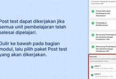 Sangat Penting untuk UKPPPG, Berikut Manfaat Post Test PPG Guru Tertentu 2024, Bisa Dilakukan Berulang