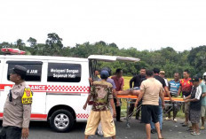 Tewas Ditabrak Truk Tronton, Pemotor di Jalinteng Sumatera OKU Timur