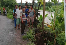 Awas! Jalan Kampung di Empat Lawang Terancam Longsor Akibat Luapan Sungai Musi, Begini Kondisinya