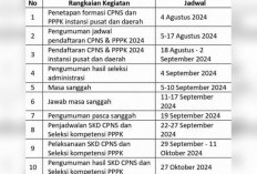 PENGUMUMAN: Prediksi Jadwal Penerimaan CPNS dan PPPK Tahun 2024 Beredar, Sebentar Lagi Dibuka?