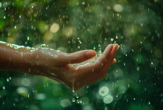 Mandi Air Hujan Bikin Rambut Kuat dan Kulit Sehat, Mitos atau Fakta?