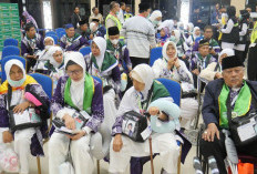450 Jemaah Terbang ke Madinah, Armet Dachil: Jemaah Muda Diminta Prioritaskan Jemaah Lansia