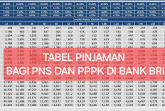 Bank BRI Luncurkan Kredit Khusus Guru PNS dan PPPK Akhir Oktober, Modal SK, Pinjaman Rp500 Juta