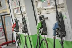 Ingin Masuk Universitas Indonesia? Ini 7 Jurus Rahasia yang Jarang Diketahui