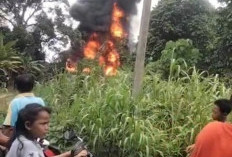 Gudang Penggilingan Padi di Mangun Jaya Terbakar, Satu Mobil, Dua Motor, dan Mesin Padi Hangus Dilalap Api