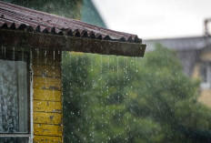 Waspada Atap Rumah Bocor Saat Hujan Deras