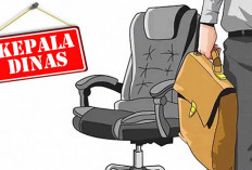 Kesehatan Kurang Mendukung, Nurlela Mundur, 10 Jabatan Kosong