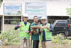 Program Desa Impian Antarkan PTBA Raih Penghargaan Internasional