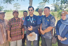 Petani OKU Timur Raih Sertifikasi Organik, Beras Belitang Siap Bersaing di Pasar Nasional