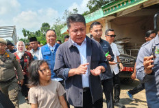 Bus ALS Hantam Truk Tangki di Muratara, Herman Deru Ungkap Dugaan Sopir Microsleep