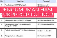 Begini Cara Mengecek Apakah Anda Lulus atau Tidak di UKPPPG Guru Tertentu Piloting 3