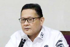 Wabah Campak Merebak, Dinkes Sumsel Instruksikan Kabupaten/Kota Segera Bergerak Cepat 