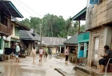 Dua Desa di Musi Rawas Terendam Banjir 