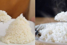 Nasi Dingin versus Nasi Hangat: Mana yang Lebih Baik untuk Kesehatan Anda?