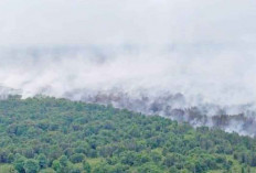 Terpantau 198 Titik Hotspot, Bayung Lencir Zona Merah Karhutla