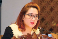 Legislator DPRD Sumsel Ayu Nursuri Minta BUMD di Sumsel untuk Direformasi, Ini Alasannya
