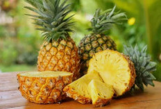 9 Manfaat Buah Nanas untuk Kesehatan yang Wajib Kamu Ketahui