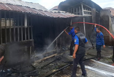 Kebakaran Warung di OKI akibat selang gas bocor, rumah warga Empat Lawang juga hangus