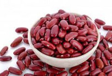 Manfaat Kacang Merah, Turunkan Berat Badan Hingga Cegah Pertumbuhan Sel Kanker
