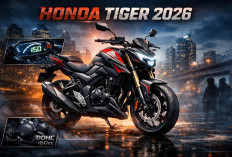 Comeback Legendaris? Honda Tiger 2026 Disebut Lebih Ganas dan Modern